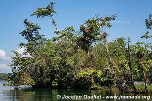 Río Dulce - Guatemala