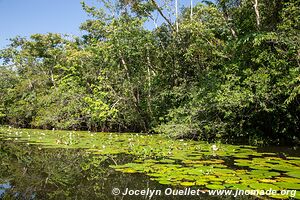 Río Dulce - Guatemala