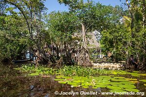 Río Dulce - Guatemala