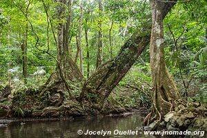 Kayacking - Río Dulce - Guatemala