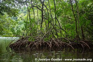 Kayacking - Río Dulce - Guatemala