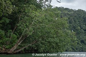 Kayacking - Río Dulce - Guatemala