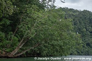 En kayak - Río Dulce - Guatemala