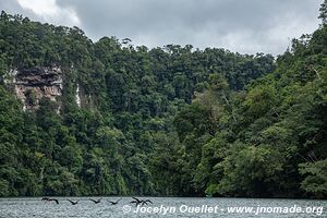 En kayak - Río Dulce - Guatemala