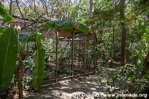 Macaw Mountain - Copán Ruinas - Honduras