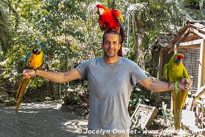 Macaw Mountain - Copán Ruinas - Honduras