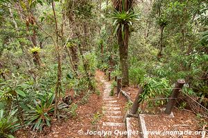 Parque Nacional Montaña de Celaque - Honduras