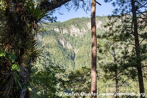 Parque Nacional Montaña de Celaque - Honduras