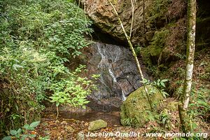 Parque Nacional Montaña de Celaque - Honduras