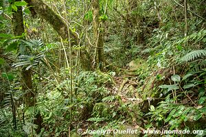 Parque Nacional Montaña de Celaque - Honduras