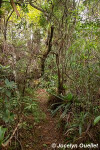 Parque Nacional Montaña de Celaque - Honduras