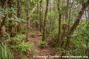 Parque Nacional Montaña de Celaque - Honduras