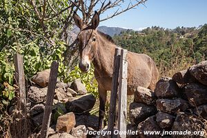 Ruta Lenca - Honduras