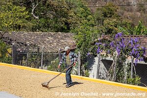 La Campa - Ruta Lenca - Honduras