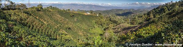 Parque Nacional Montaña de Comayagua - Honduras