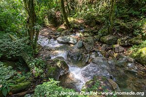 Parque Nacional Montaña de Comayagua - Honduras