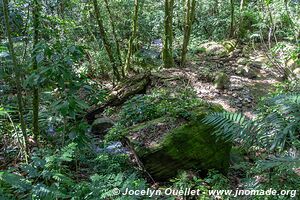 Parque Nacional Montaña de Comayagua - Honduras