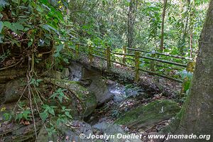 Parque Nacional Montaña de Comayagua - Honduras