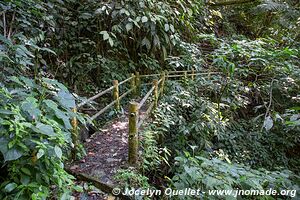 Parque Nacional Montaña de Comayagua - Honduras