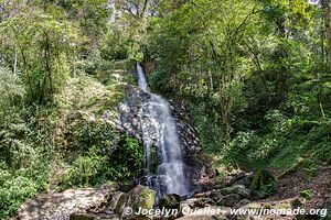 Parque Nacional Montaña de Comayagua - Honduras