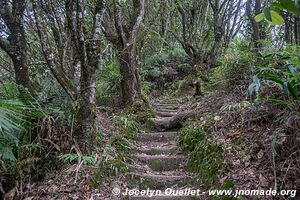 Parque Nacional Cerro Azul Meámbar - Honduras