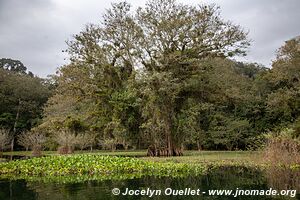 Lago de Yojoa - Honduras