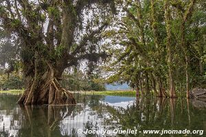 Lago de Yojoa - Honduras