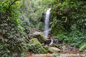 Parque Nacional Cerro Azul Meámbar - Honduras