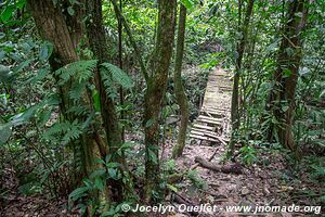 Parque Nacional Pico Bonito - Honduras