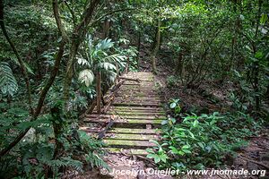 Parque Nacional Pico Bonito - Honduras