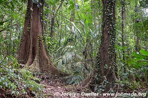 Parque Nacional Pico Bonito - Honduras