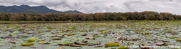 Lago de Yojoa - Honduras