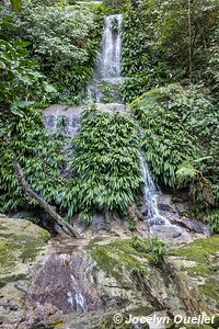 Parque Nacional Pico Bonito - Honduras