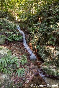 Parque Nacional Pico Bonito - Honduras