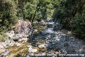 Río Cangrejal - Honduras