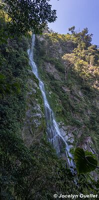 Parque Nacional Pico Bonito - Honduras