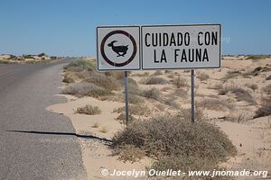 San Luis Río Colorado - Sonora - Mexique