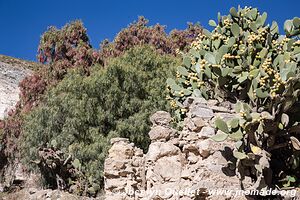 Real de Catorce - San Luis Potosí - Mexico