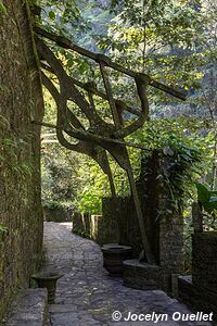 Las Pozas - Xilitla - San Luis Potosí - Mexique