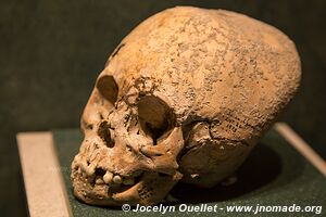 National Museum of Anthropology - Mexico City - Mexico