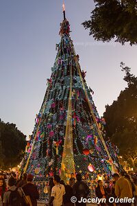 Oaxaca de Juárez - Oaxaca - Mexico