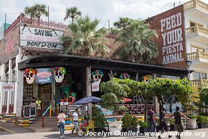 Puerto Vallarta - Jalisco - Mexico