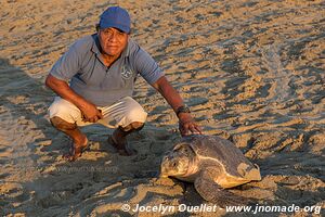 Sanctuario de la tortuga la Escobilla - Oaxaca - Mexique