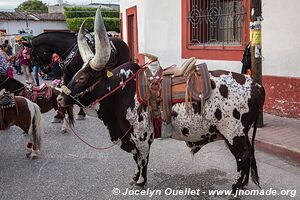 Chiapa de Corzo - Chiapas - Mexico