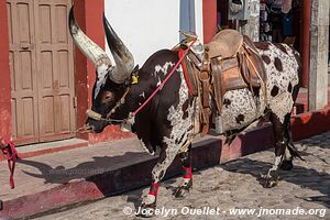 Chiapa de Corzo - Chiapas - Mexique