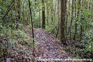 Autour de Tzicao - Région des Lagunas de Montebello - Chiapas - Mexique