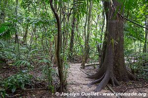 Palenque - Chiapas - Mexique