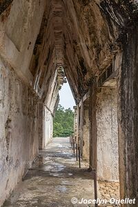 Palenque - Chiapas - Mexico