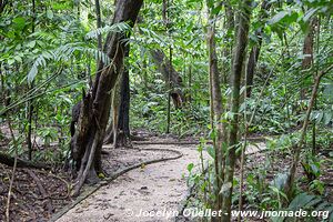 Palenque - Chiapas - Mexique