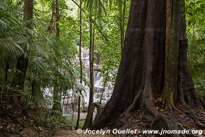 Palenque - Chiapas - Mexique